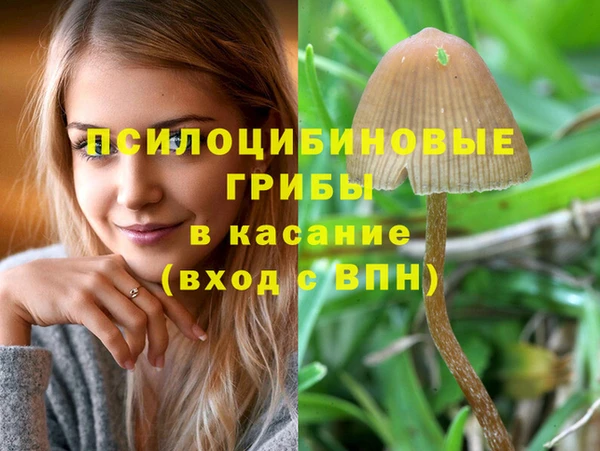 метамфетамин Богородск