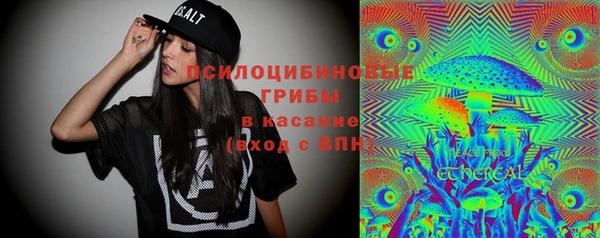 apvp Богданович