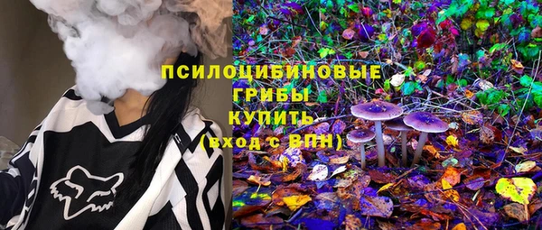 мдма Богородицк