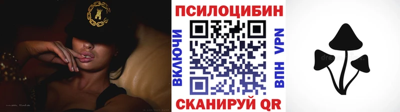 shop состав  Можайск  Псилоцибиновые грибы Psilocybine cubensis  где купить наркоту 
